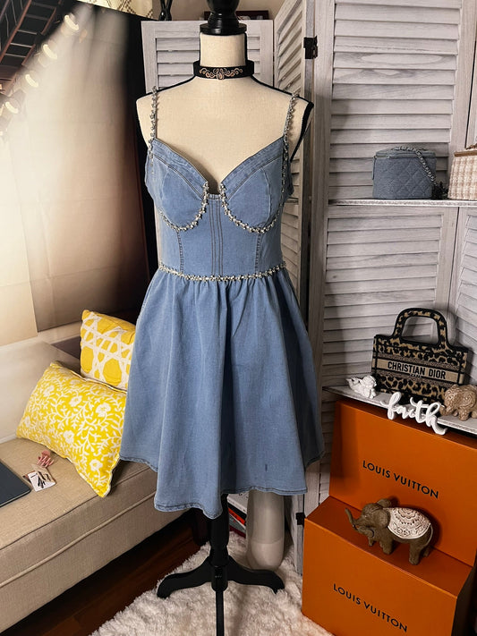 Tea Cup Denim Dress